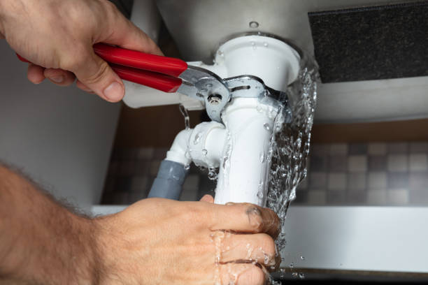 Best Basement water damage restoration  in Westchase, FL
