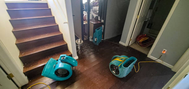 Best Water damage restoration experts  in Westchase, FL