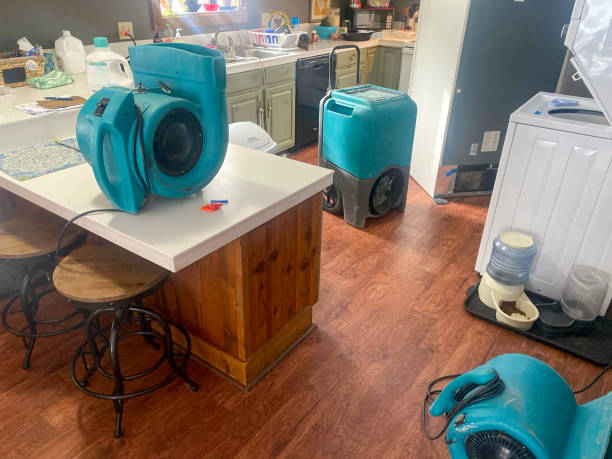 Best 24/7 water damage repair  in Westchase, FL