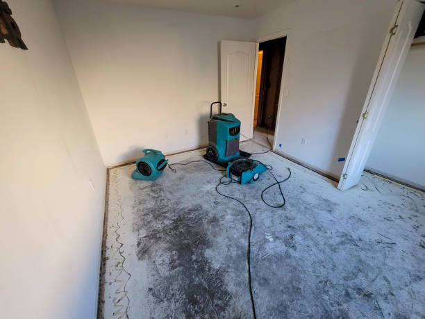 Best 24-hour water damage restoration  in Westchase, FL