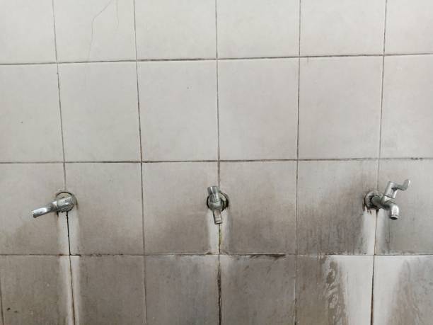Best Residential water damage restoration  in Westchase, FL